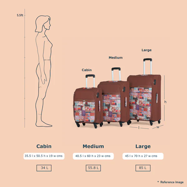 Qutub Stripes Avasa Trolley Bag - Image 2